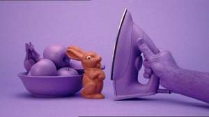 Биология - Шоколадный заяц