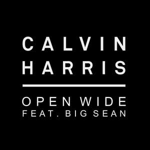 Calvin Harris - Open Wide