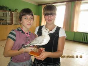 Даша Коныжева - Я чайка России, А ты украины.