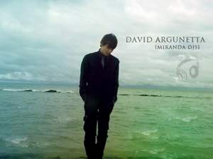 David Argunetta - Banks - Brain (David Argunetta remix)