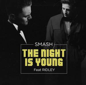 DJ Smash feat. Ridley - The Night Is Young (минус)