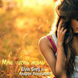 Elvin Grey - Дуслар (минус)