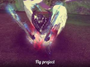 Fly Project - O male mandala