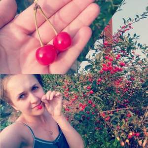 Елена Есенина Когда созреет вишня в моем саду - Когда созреет вишня в моем саду