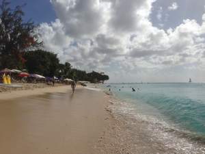 Кокос - Остров Барбадос