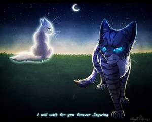 Коты-воители - Воробей и Половинка Луны