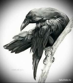 Кукрыниксы - Черный ворон (минус)