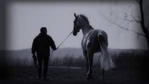 Любэ - Выйду ночью в поле с конём