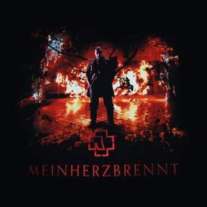 Rammstein - Mein Herz brennt (Video Edit)