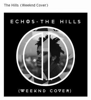 The Weeknd - The Hills (Echos Cover)