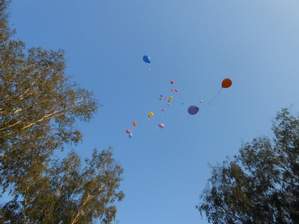 Трио Ромашки - словно воздушные шары