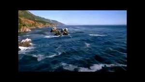 Alex Energy (Александр Шепс) - Танец с белой акулой