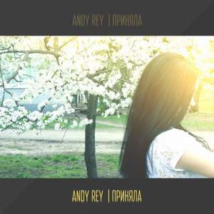 Andy Rey - Безупречная
