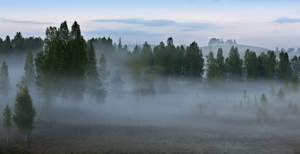 Apokaliptica - Утро над туманной долиной