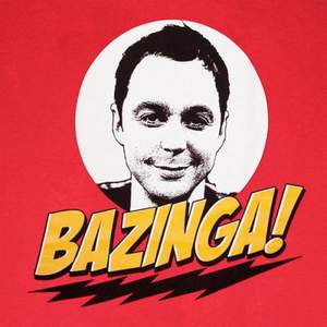 Big Bang Theory (ТБВ Теория Большого взрыва) - Bazinga Song (Bzinga Remix)