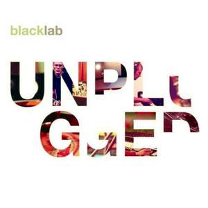 Black Lab - This Night (320 kbps)