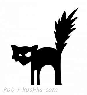Tills - Черный кот (Джо И prod.)