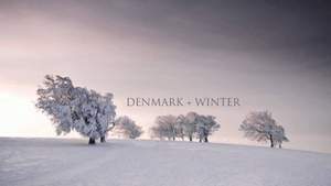 Denmark & Winter - I'll be watching you