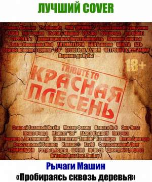 Дмитрий Ерофеев - Клава и панки (Красная Плесень cover)