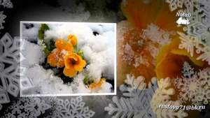 Долина Лариса - Цветы под снегом