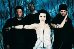 Evanescence - Anything for You