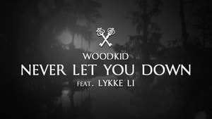 Evgeniy Rei, Woodkid, Lykke Li - Never Let You Down (Woodkid Cover)