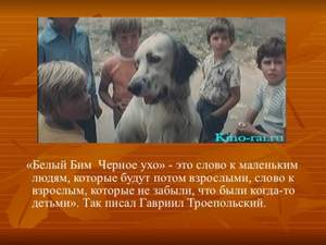 Гавриил Троепольский - Белый Бим Чёрное ухо (аудиоспектакль)