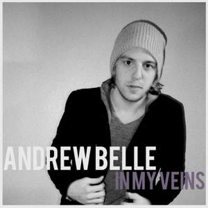 Andrew Belle - In My Veins (feat. Erin McCarley)
