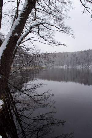 Добрынин Вячеслав - Колдовское озеро