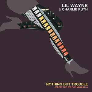 Lil Wayne - Nothing But Trouble Ft. Charlie Puth