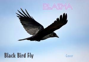 Plazma - Black Bird Fly