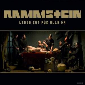 Rammstein - Donaukinder ( Дети Дуная )