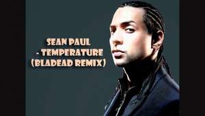 Sean Paul - temperature (BlaDEaD remix)