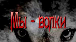 Слава Медяник - Мы Волки