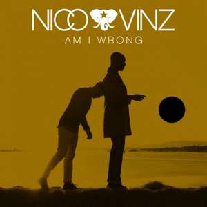 Trevor Moran - Am I Wrong (Nico & Vinz Cover)