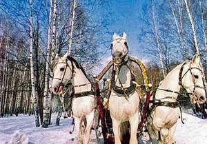 Три белых коня - к/ф 