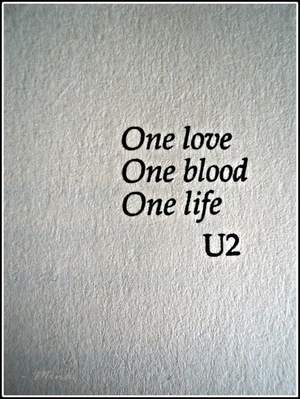 U2 - One Love, One Life (live in Chicago)