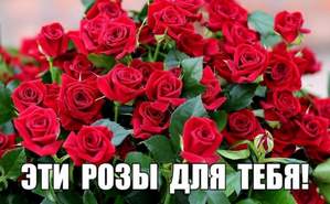 Виктор Лекарь - Эти розы для тебя
